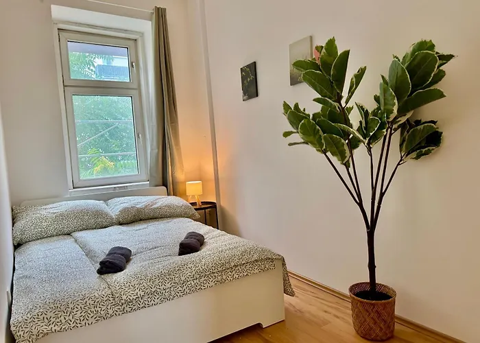 100 M2 With 4 * Vienna